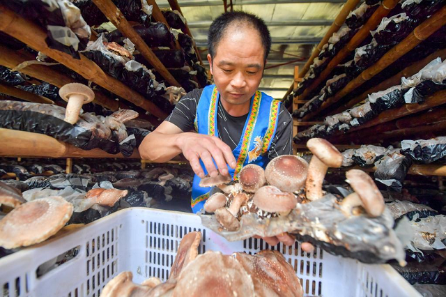 奋进新征程 建功新时代·老区新貌