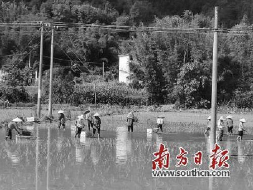 我省迅速开展农业救灾复产