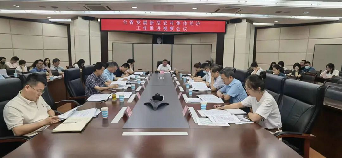新型农村集体经济发展十大优秀案例