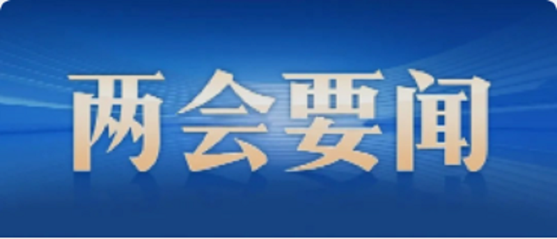 十四届全国人大一次会议举行第二次全体会议 习近平等在主席台就座