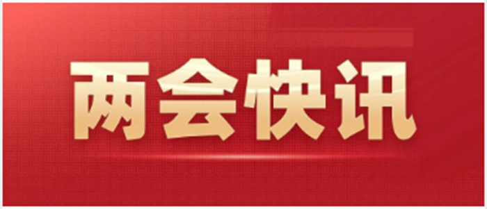 十四届全国人大二次会议表决通过了关于政府工作报告的决议